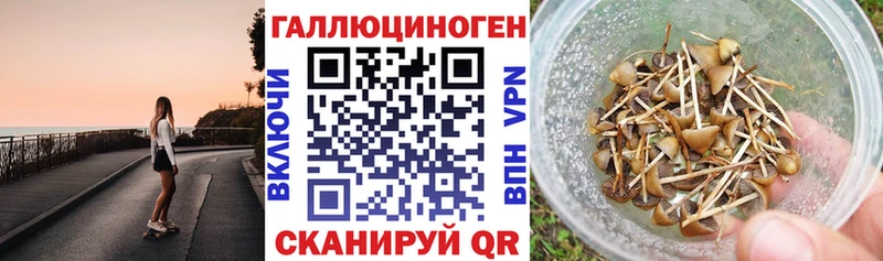 где купить   Шарья  Псилоцибиновые грибы прущие грибы 